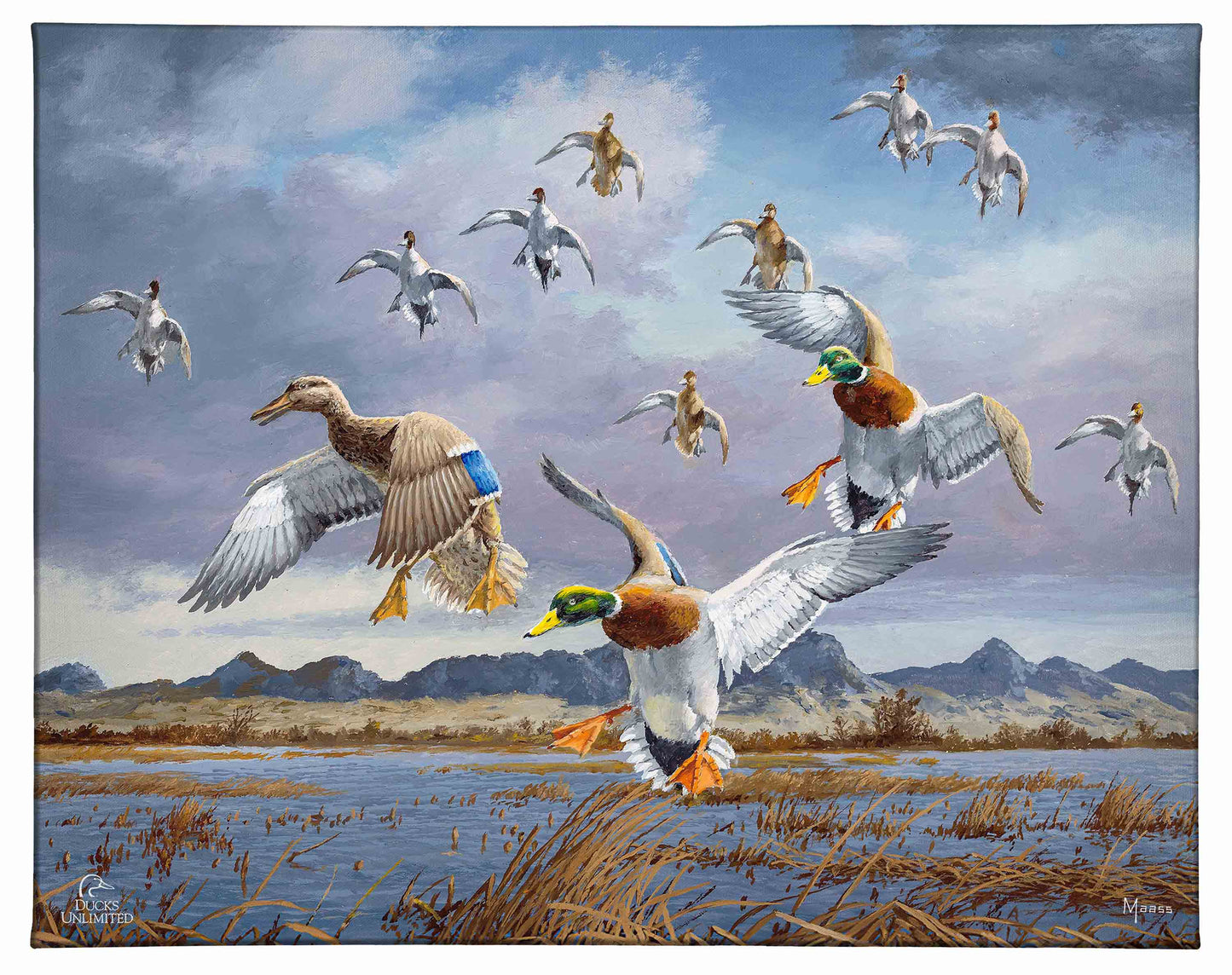In Before the Squall - Mallards and Pintails at the Sutter Buttes Gallery Wrapped Canvas - Official Ducks Unlimited Art