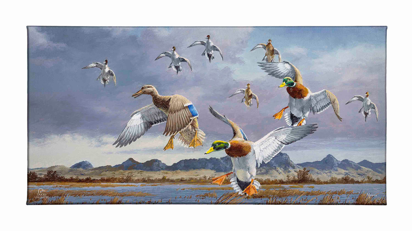 In Before the Squall - Mallards and Pintails at the Sutter Buttes Gallery Wrapped Canvas - Official Ducks Unlimited Art