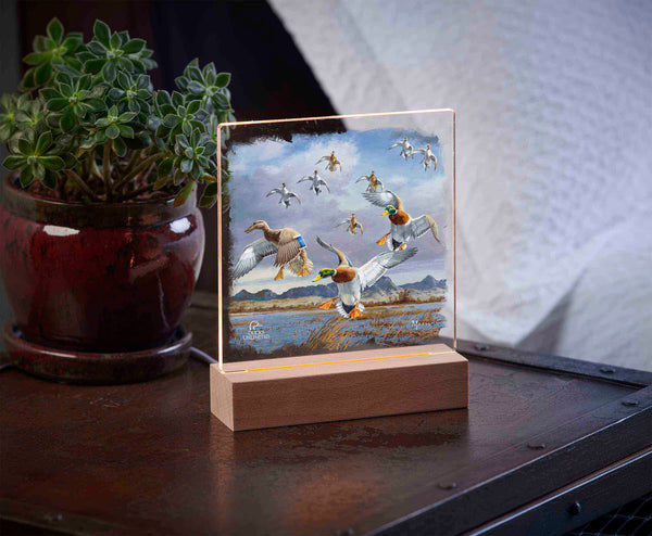 In Before the Squall - Mallards and Pintails at the Sutter Buttes 6.37" x 6" Acrylic Night Light - Official Ducks Unlimited Art