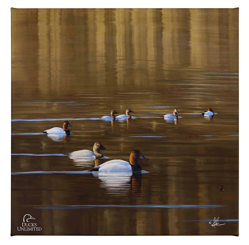 Kings March Gallery Wrapped Canvas - Official Ducks Unlimited Art