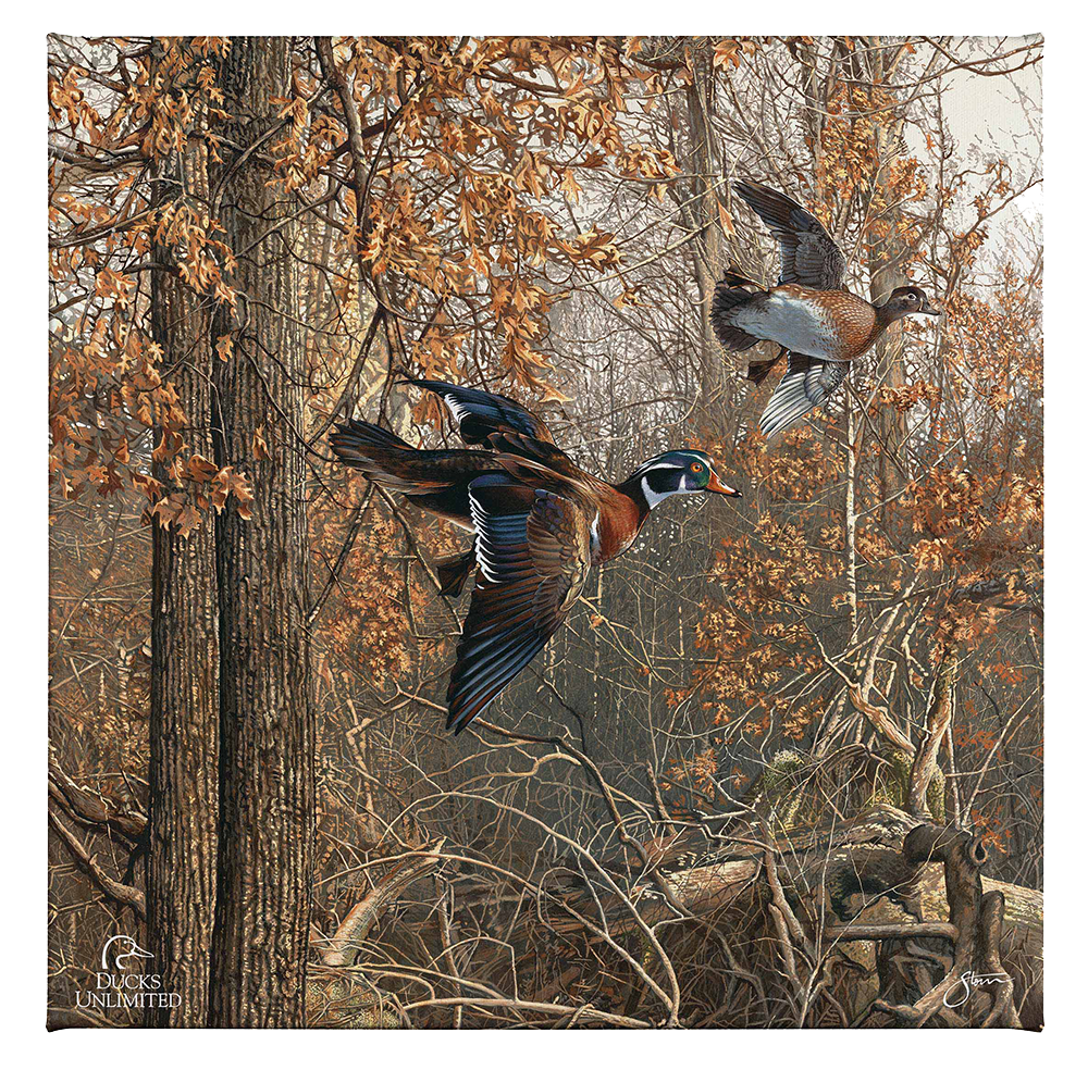 LaGrue Woodies Gallery Wrapped Canvas - Official Ducks Unlimited Art