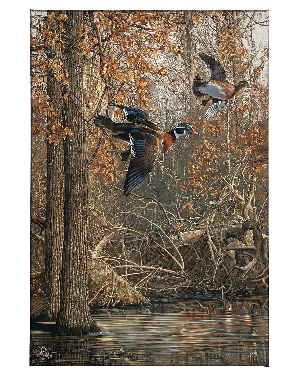 LaGrue Woodies Gallery Wrapped Canvas - Official Ducks Unlimited Art