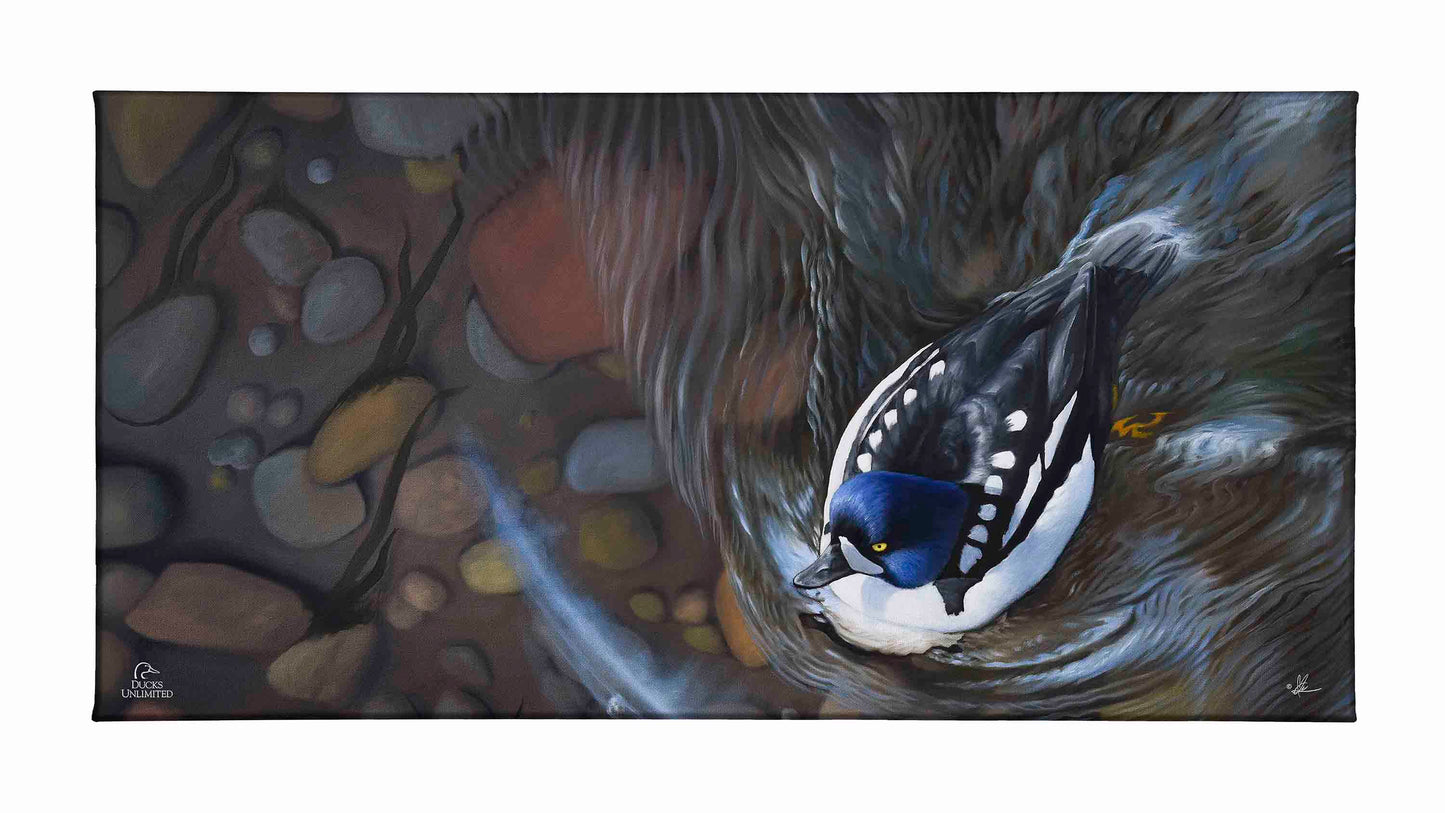 Lamar River Divers Gallery Wrapped Canvas - Official Ducks Unlimited Art
