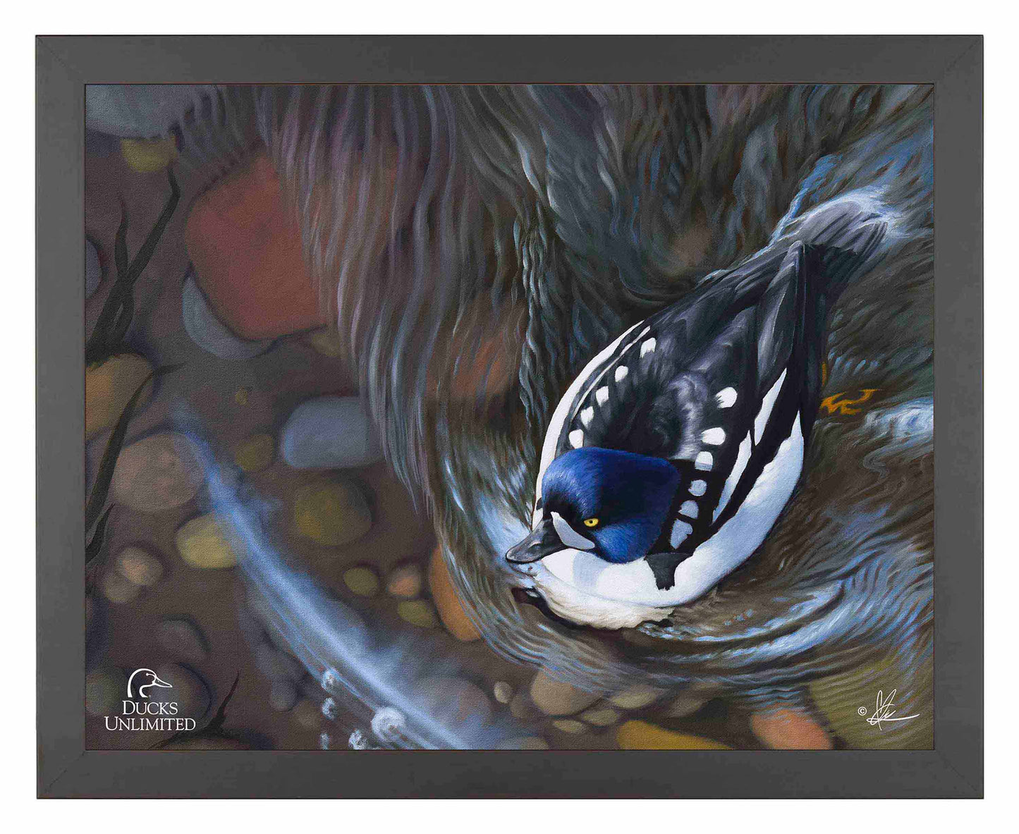 Lamar River Divers Art Prints - Official Ducks Unlimited Art