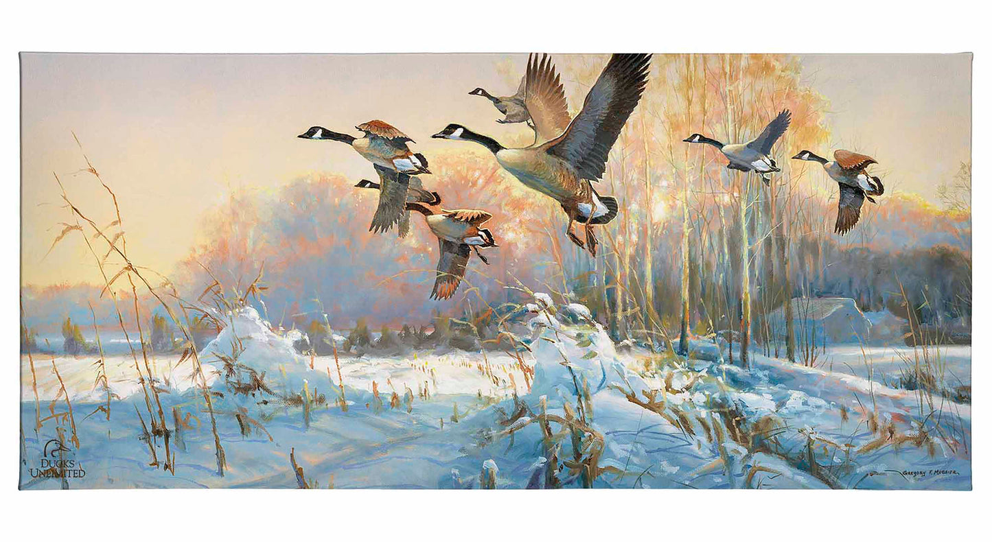 Late Departure - Canada Geese Gallery Wrapped Canvas - Official Ducks Unlimited Art