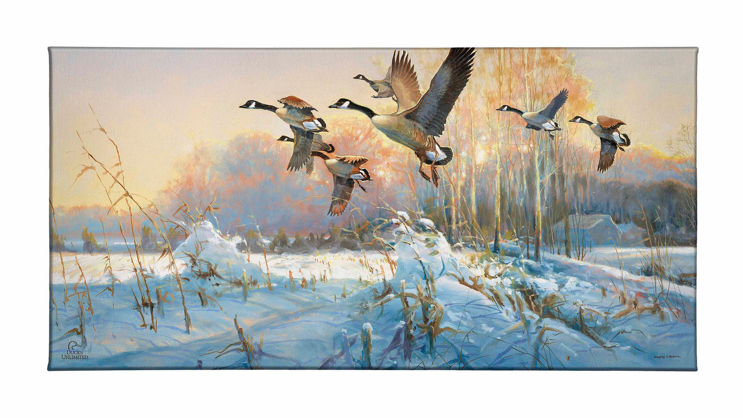 Late Departure - Canada Geese Gallery Wrapped Canvas - Official Ducks Unlimited Art