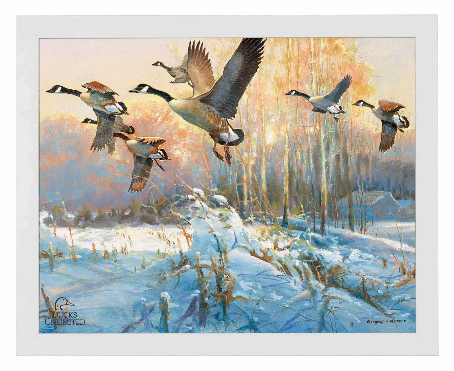 Late Departure Canada Geese Art Prints - Official Ducks Unlimited Art