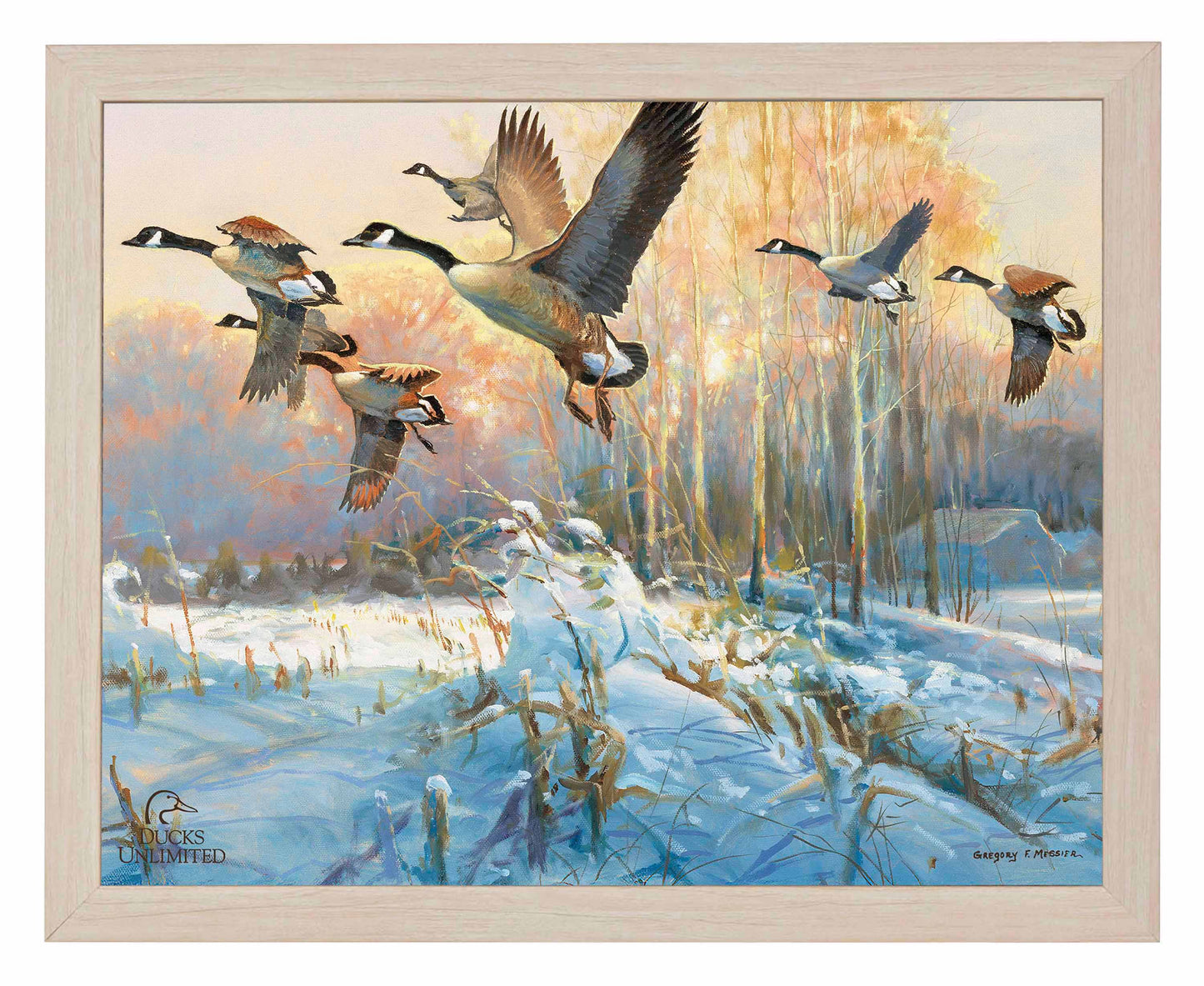 Late Departure Canada Geese Art Prints - Official Ducks Unlimited Art