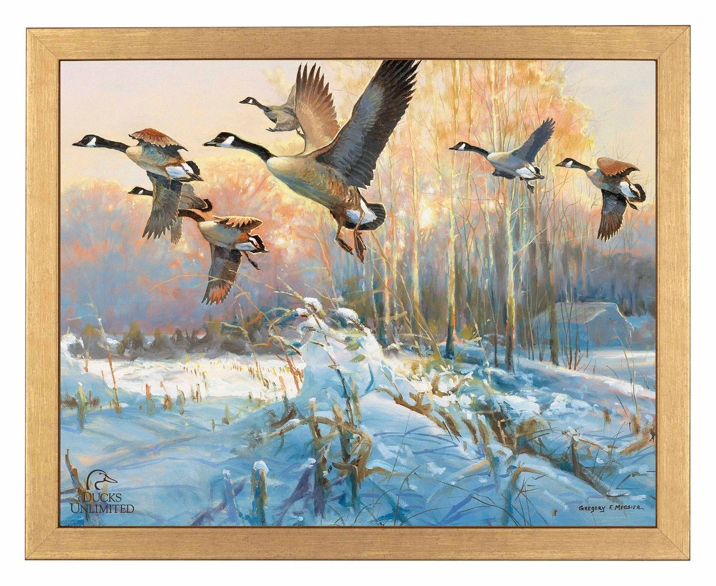 Late Departure Canada Geese Art Prints - Official Ducks Unlimited Art