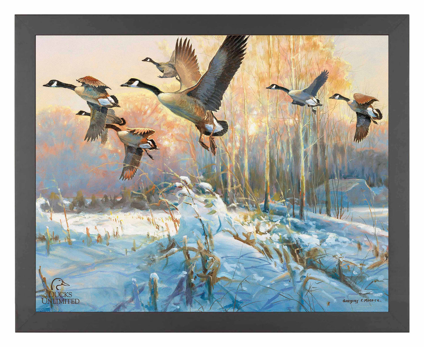 Late Departure Canada Geese Art Prints - Official Ducks Unlimited Art