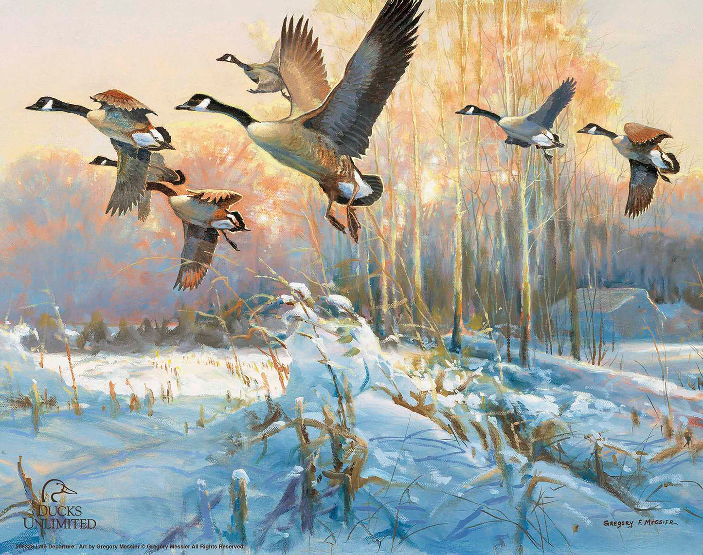 Late Departure Canada Geese Art Prints - Official Ducks Unlimited Art