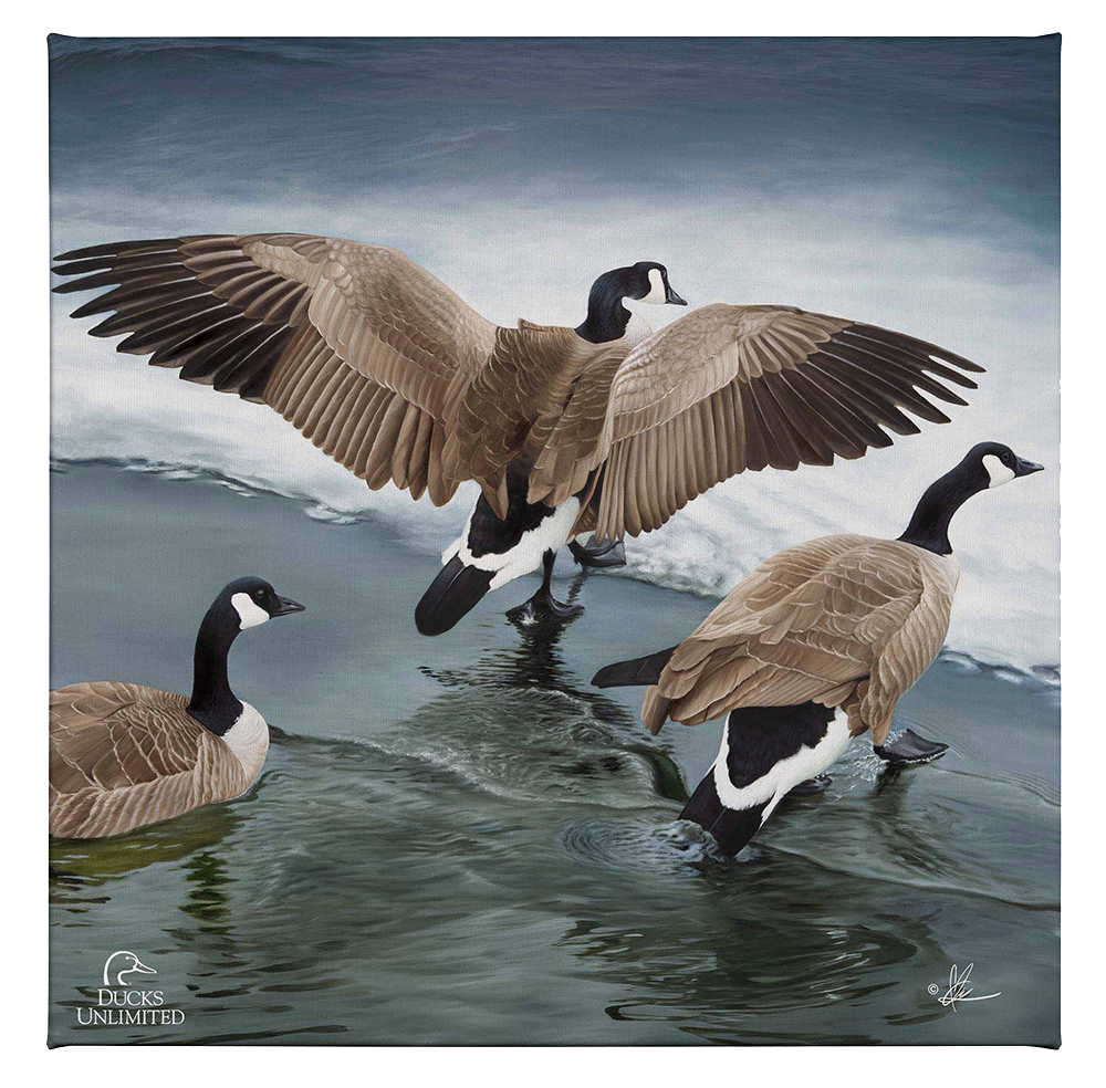 Later Winter in Yellowstone - Gallery Wrapped Canvas - Official Ducks Unlimited Art