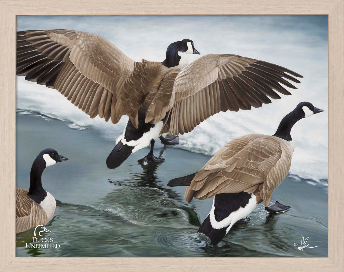 Later Winter in Yellowstone - Art Prints - Official Ducks Unlimited Art