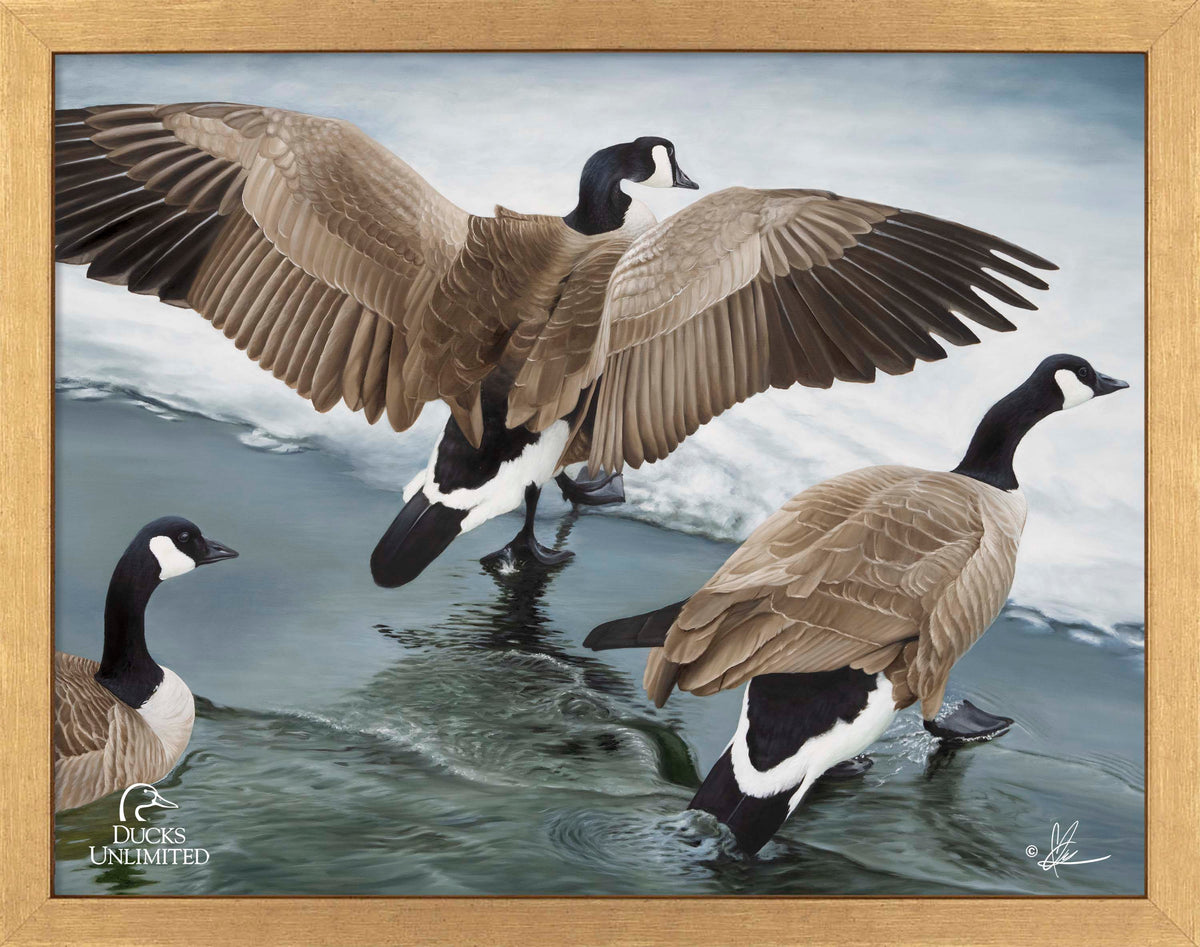 Later Winter in Yellowstone - Art Prints - Official Ducks Unlimited Art