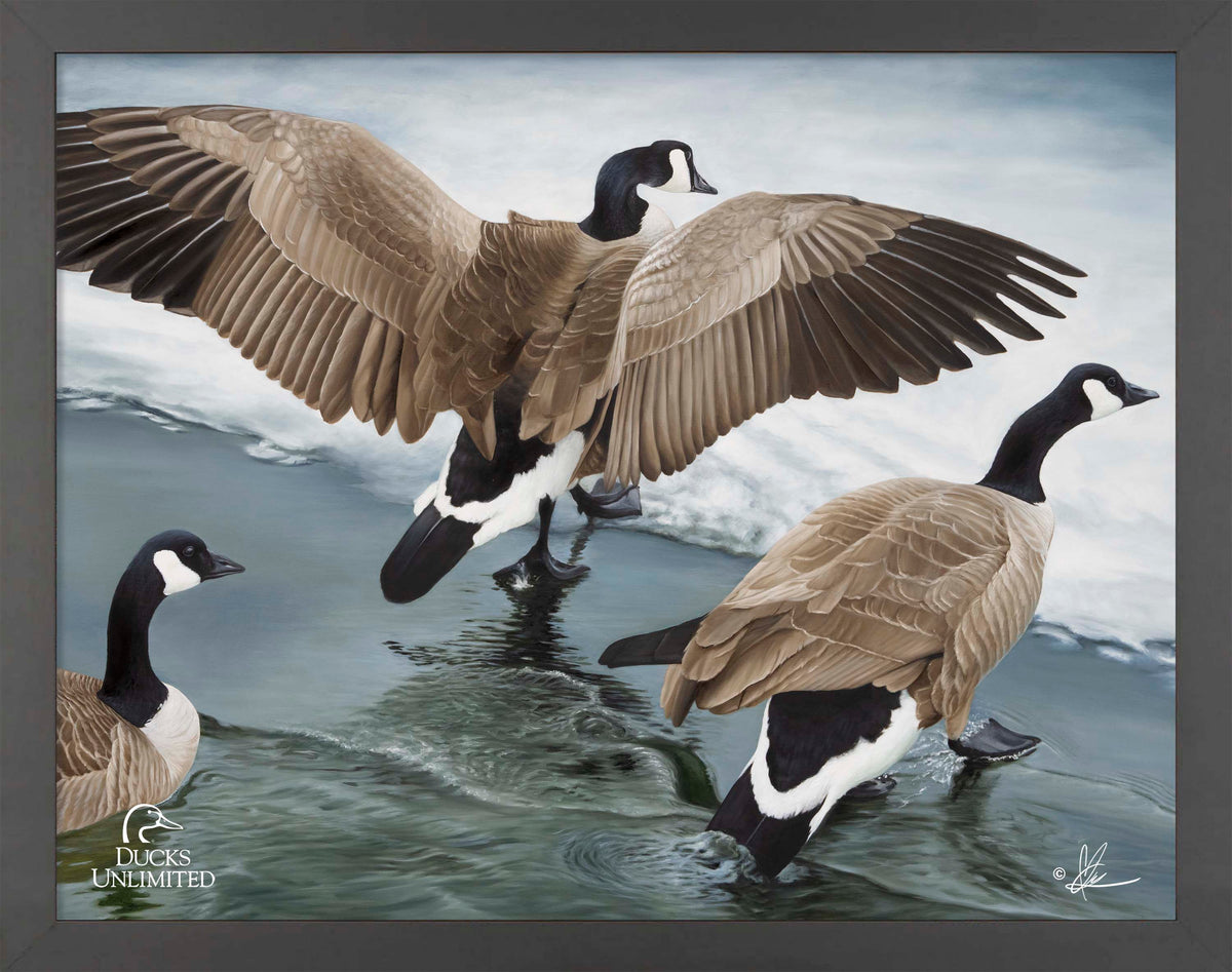 Later Winter in Yellowstone - Art Prints - Official Ducks Unlimited Art