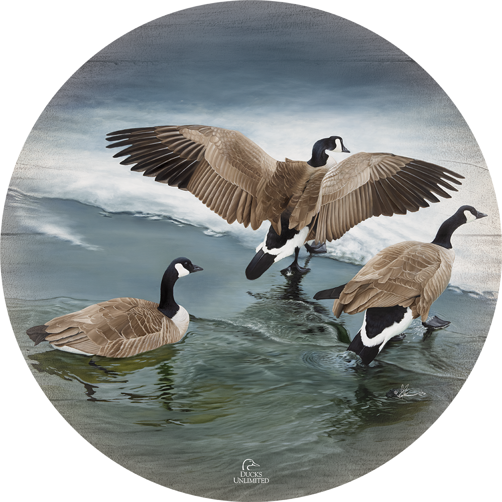 Later Winter in Yellowstone - 21" Round Wood Sign - Official Ducks Unlimited Art