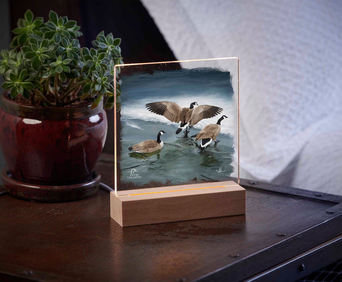 Later Winter in Yellowstone - 6.37" x 6 " Acrylic Night Light - Official Ducks Unlimited Art