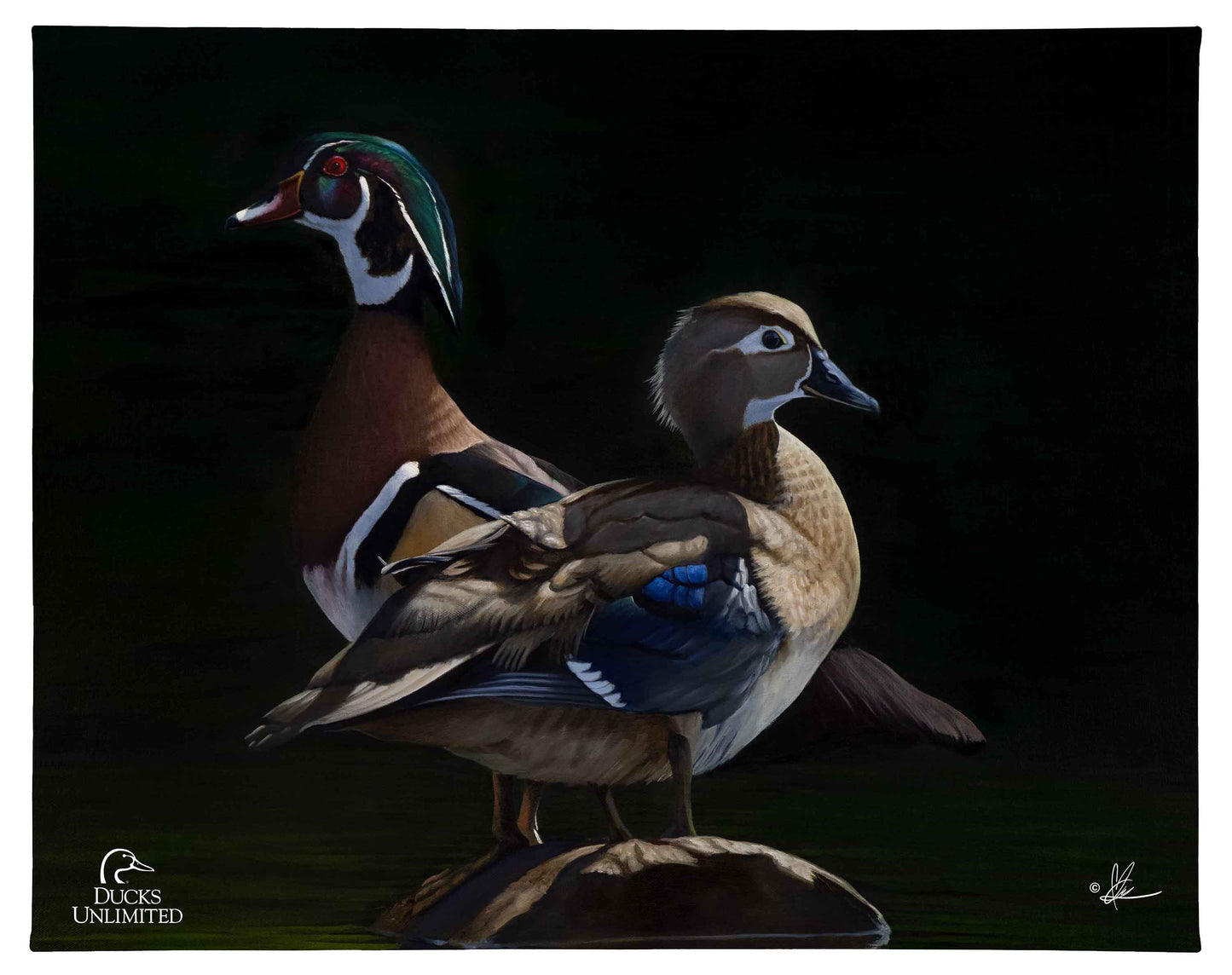Low Water Rising Gallery Wrapped Canvas - Official Ducks Unlimited Art
