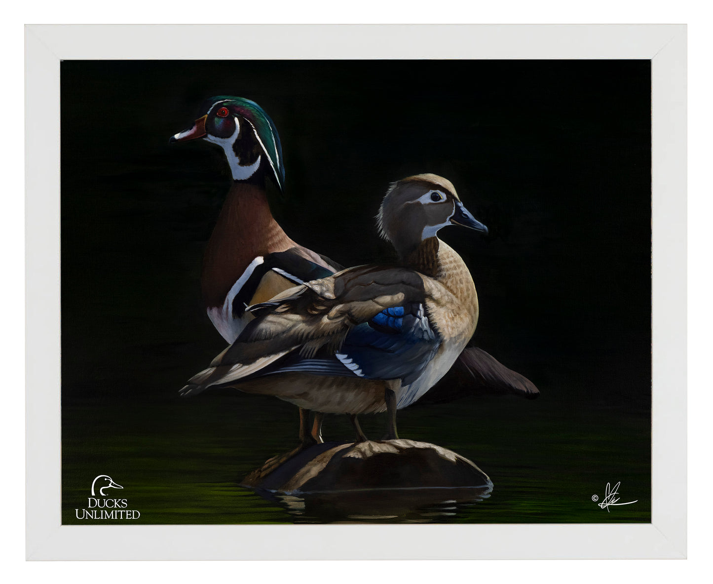 Low Water Rising Art Prints - Official Ducks Unlimited Art