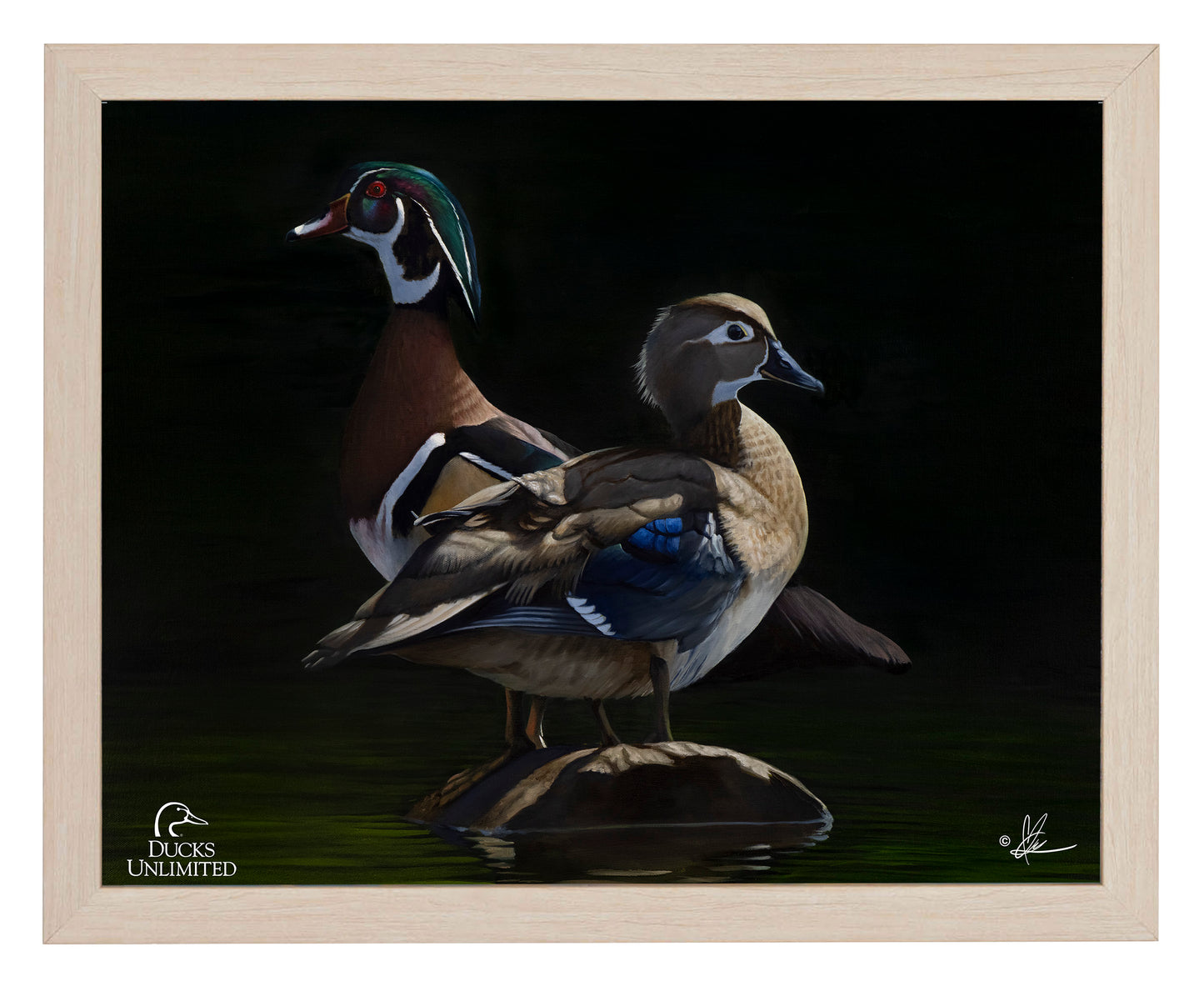 Low Water Rising Art Prints - Official Ducks Unlimited Art