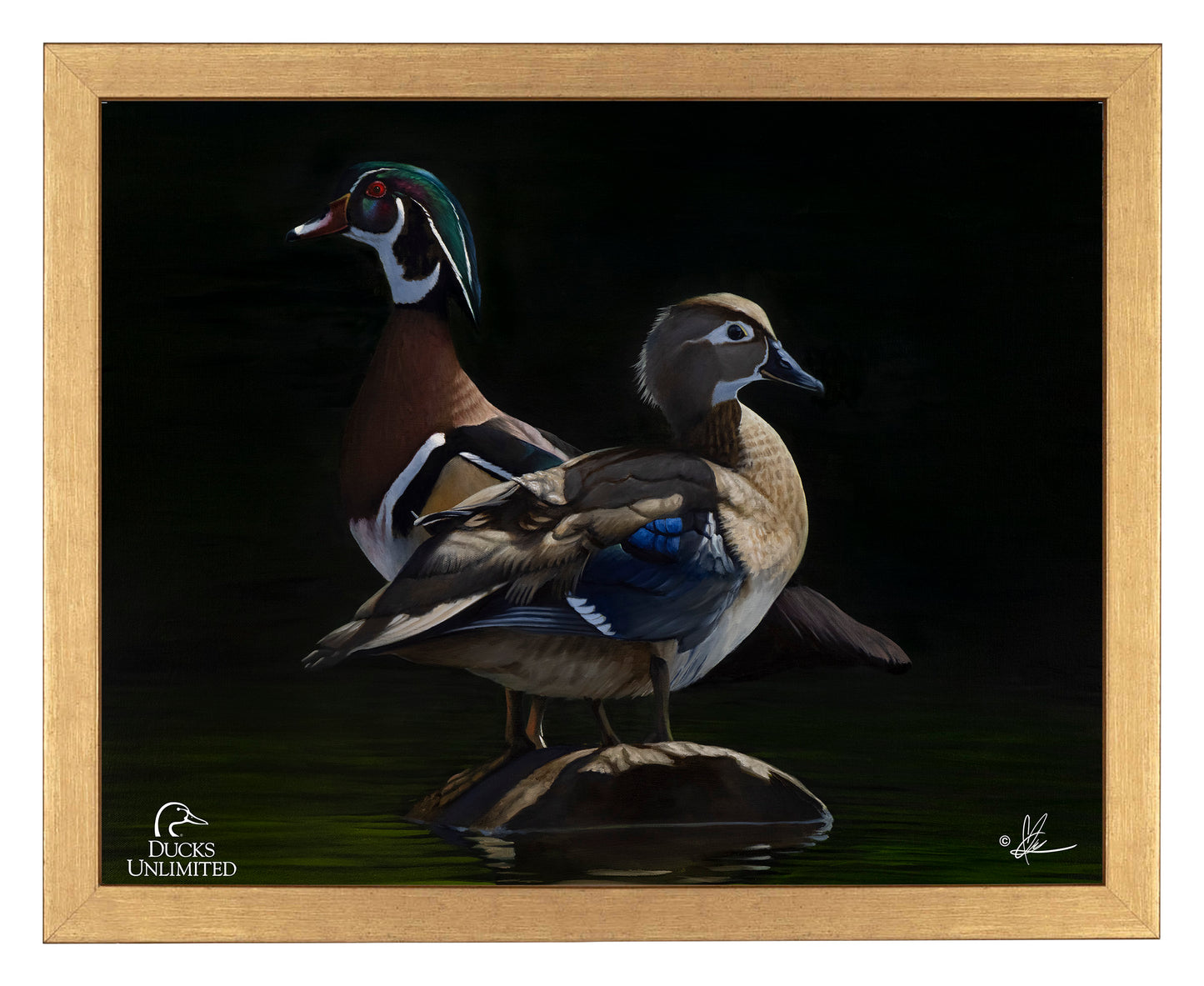 Low Water Rising Art Prints - Official Ducks Unlimited Art