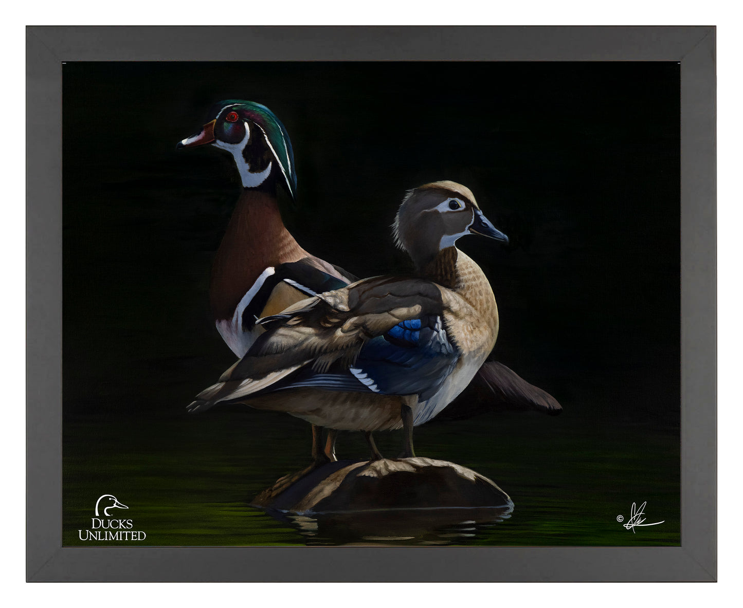 Low Water Rising Art Prints - Official Ducks Unlimited Art