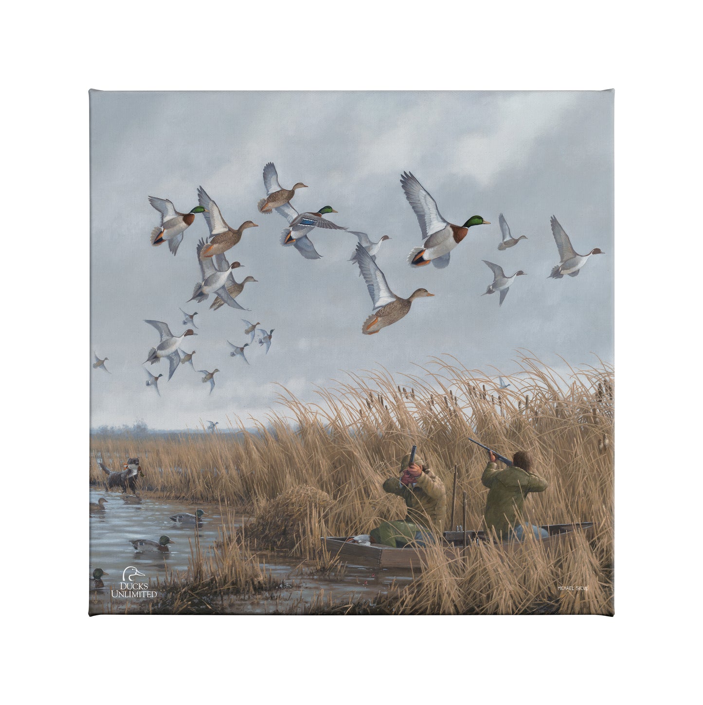 Mallards & Pintails Gallery Wrapped Canvas - Official Ducks Unlimited Art