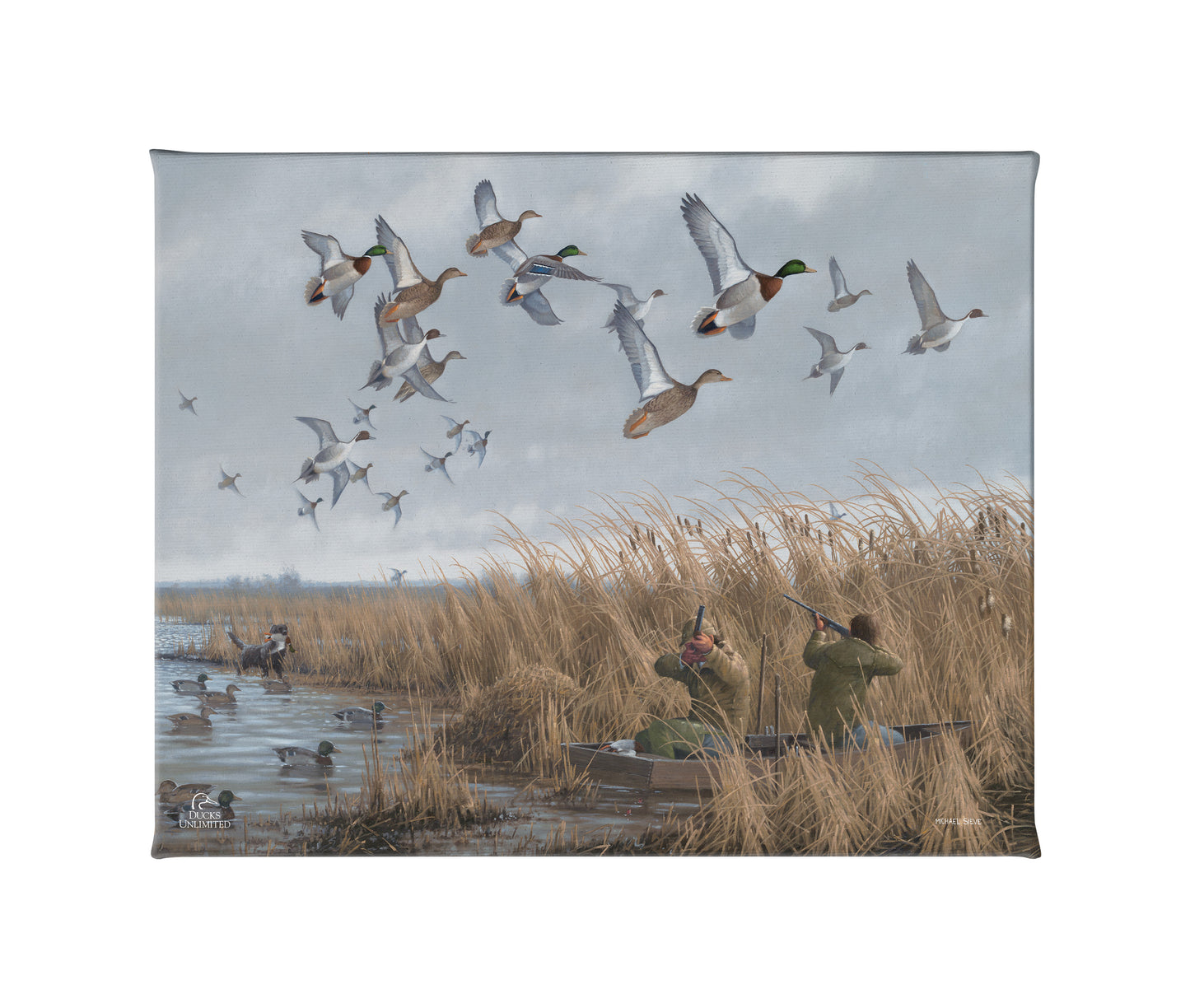 Mallards & Pintails Gallery Wrapped Canvas - Official Ducks Unlimited Art