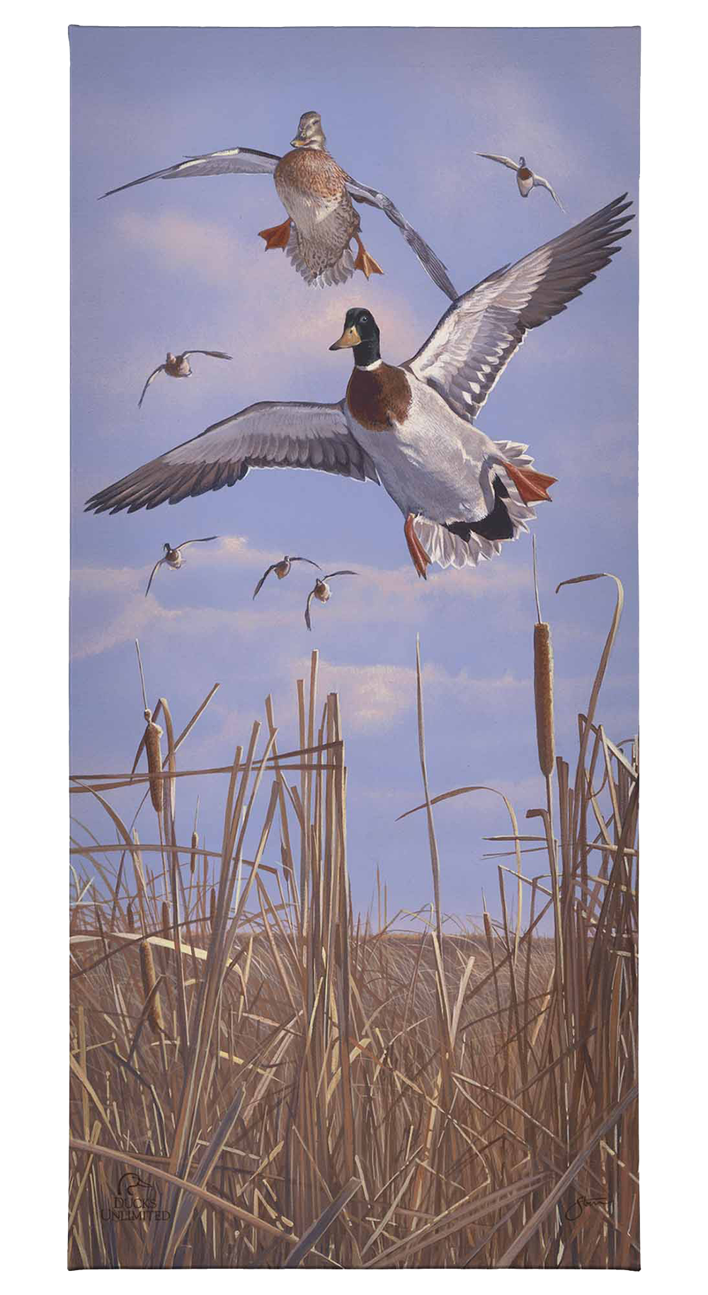 Mallards 'n' Cattails Gallery Wrapped Canvas - Official Ducks Unlimited Art