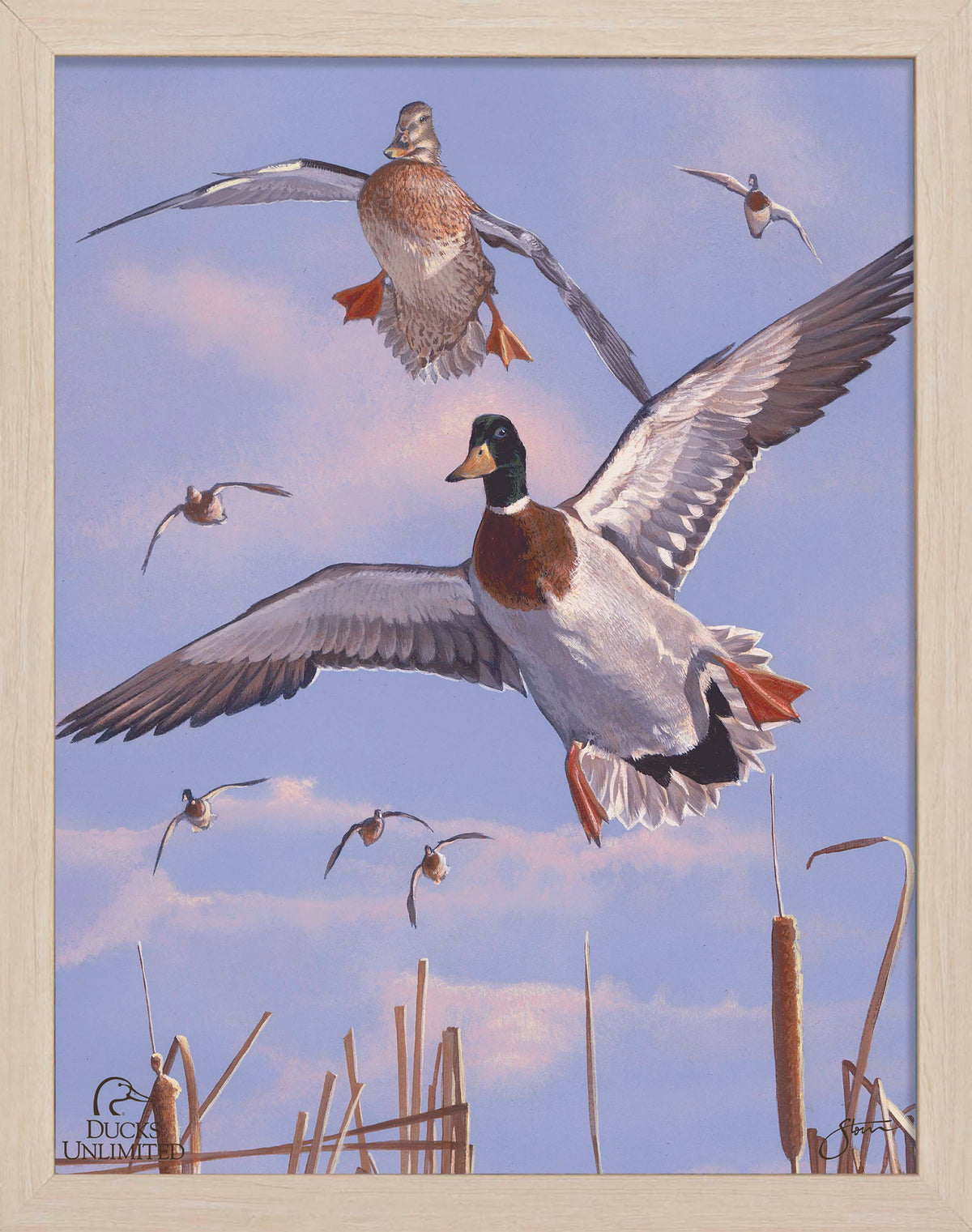 Mallards 'n' Cattails Art Prints - Official Ducks Unlimited Art