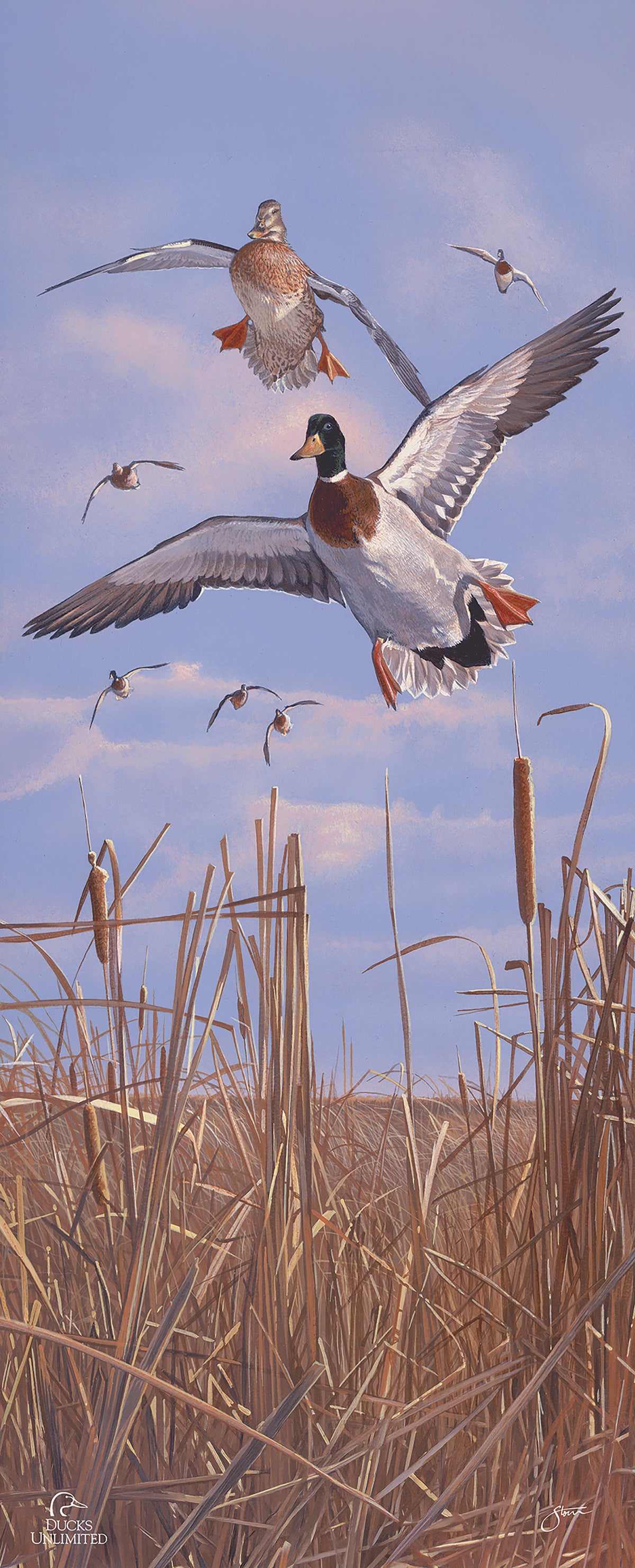 Mallards 'n' Cattails 12" x 30" Wood Sign - Official Ducks Unlimited Art