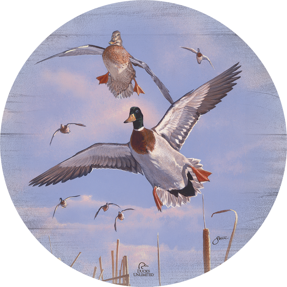 Mallards 'n' Cattails 21" Round Wood Sign - Official Ducks Unlimited Art