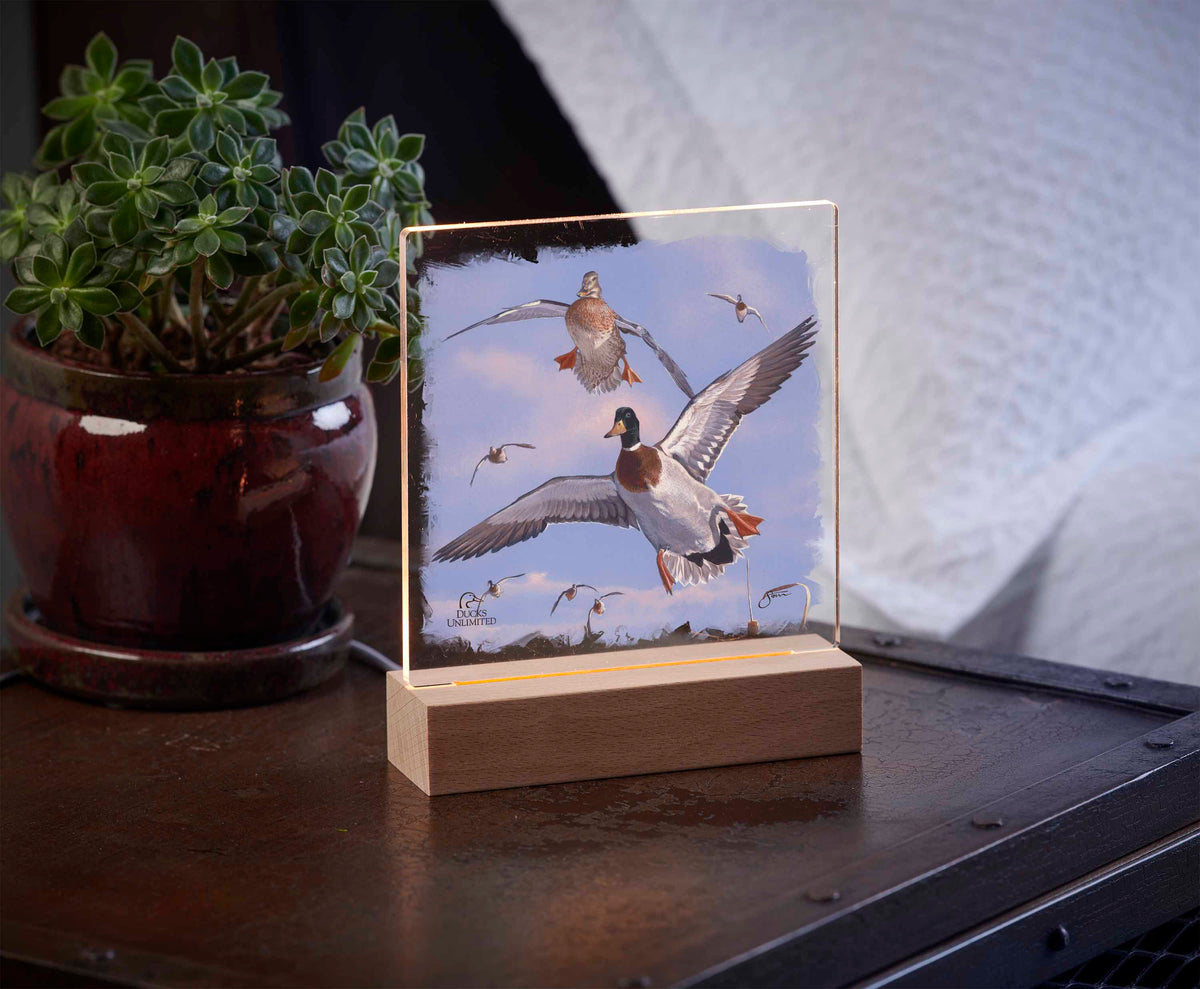 Mallards 'n' Cattails 6.37" x 6" Acrylic Night Light - Official Ducks Unlimited Art