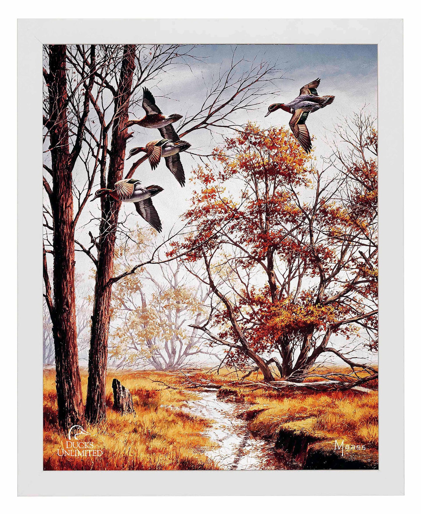 Misty Morning Greenwinged Teal Art Prints - Official Ducks Unlimited Art
