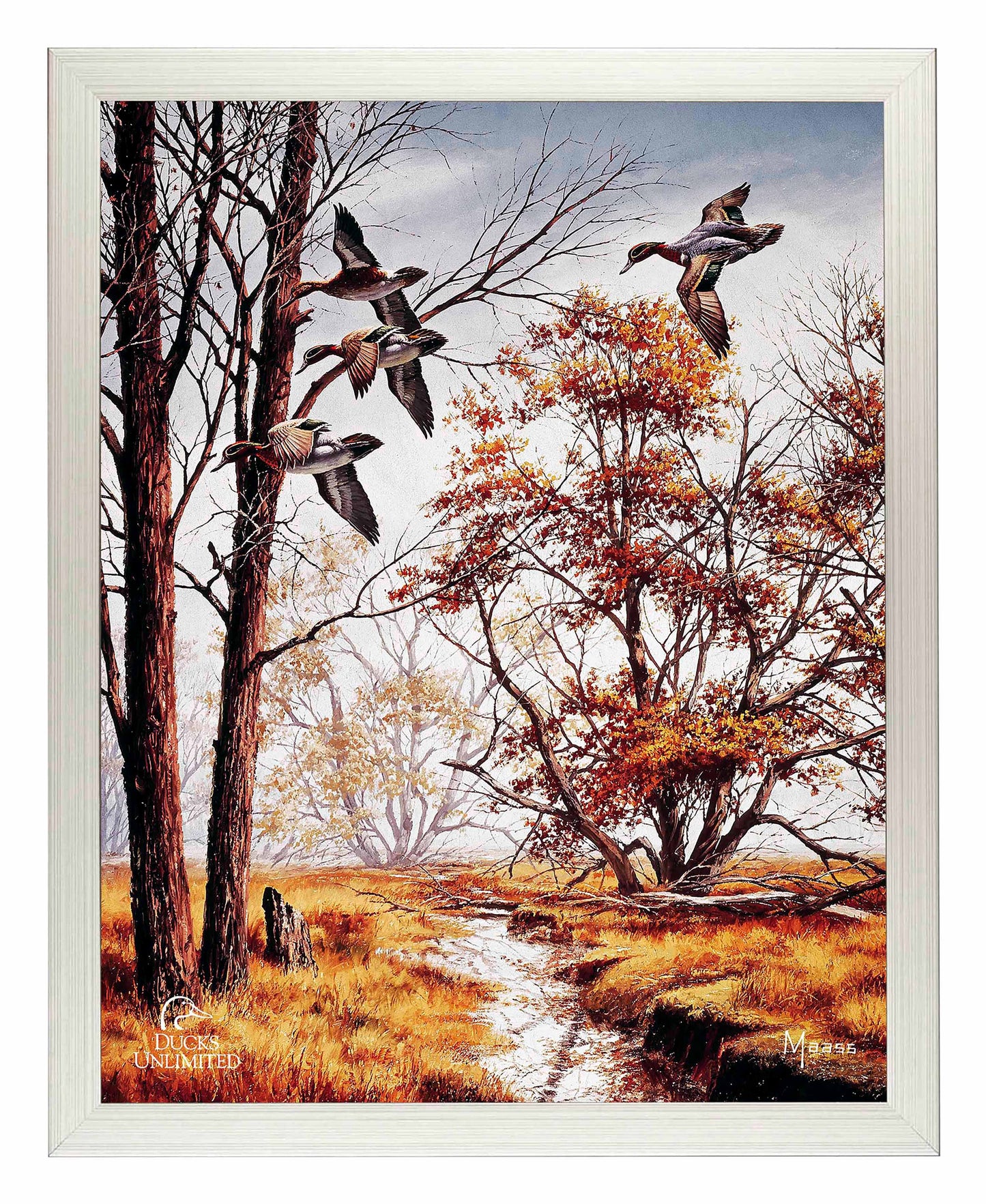 Misty Morning Greenwinged Teal Art Prints - Official Ducks Unlimited Art
