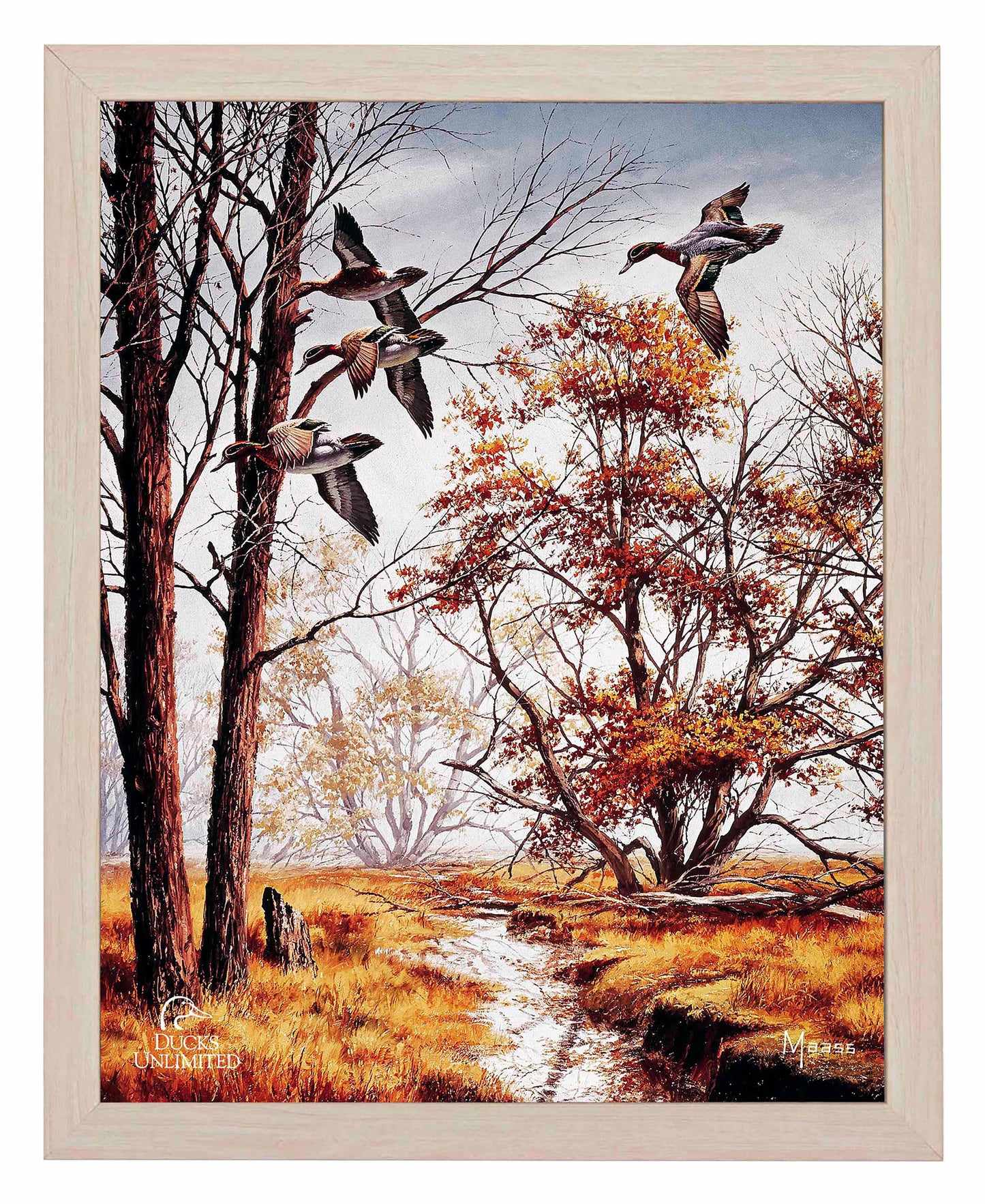Misty Morning Greenwinged Teal Art Prints - Official Ducks Unlimited Art