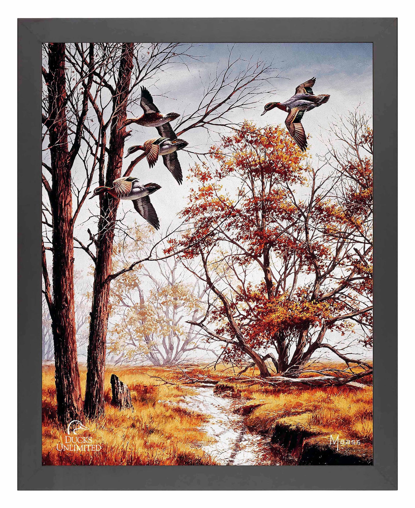 Misty Morning Greenwinged Teal Art Prints - Official Ducks Unlimited Art
