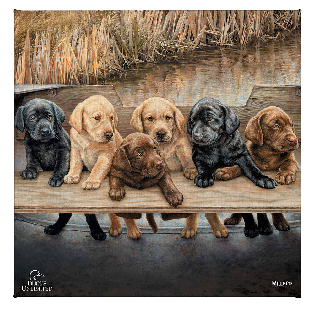 More Hands on Deck Gallery Wrapped Canvas - Official Ducks Unlimited Art