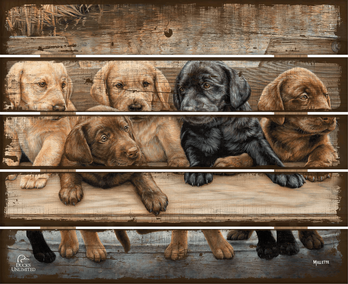 More Hands on Deck 18" x 22" Pallet Wall Art - Official Ducks Unlimited Art