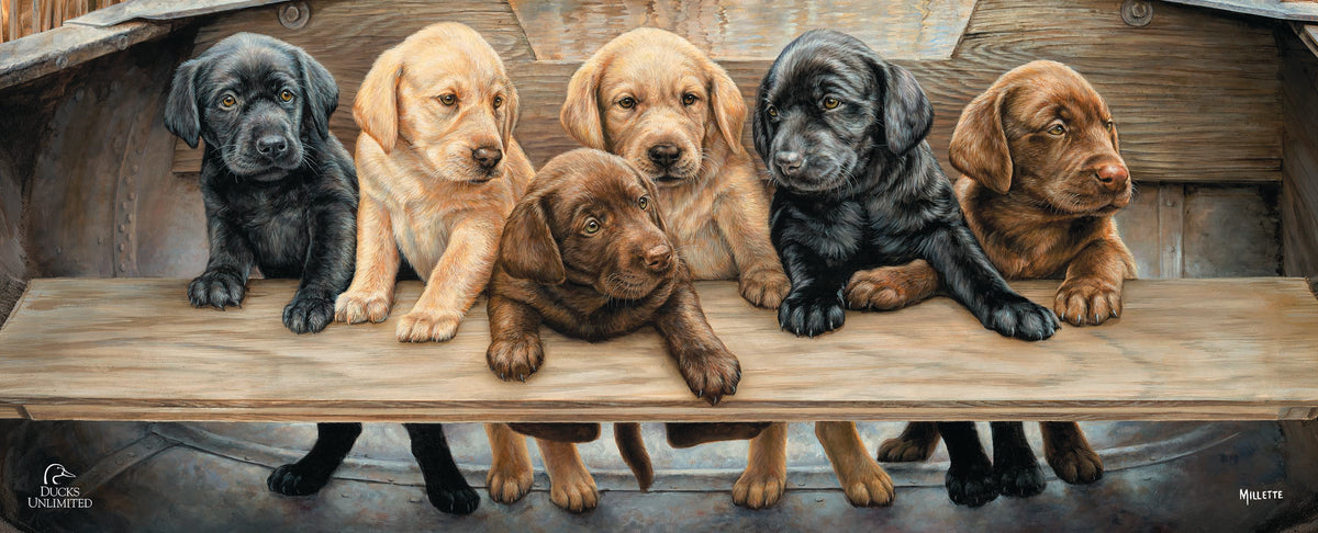More Hands on Deck 12" x 30" Wood Sign - Official Ducks Unlimited Art