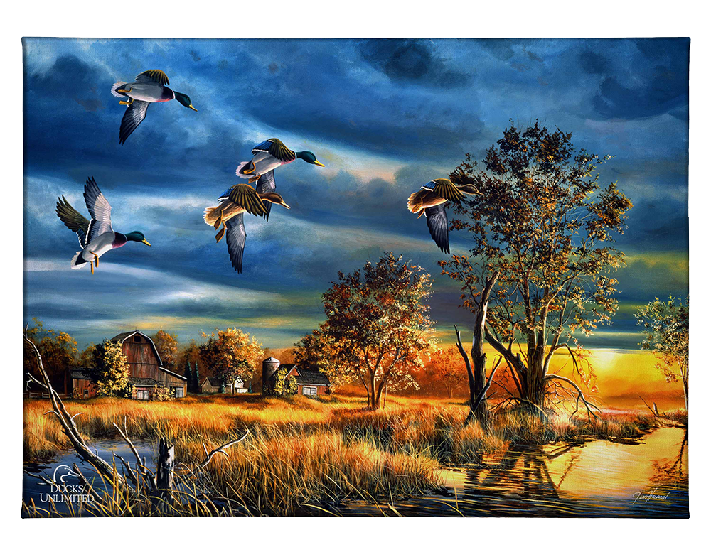 Morning Mallards Gallery Wrapped Canvas - Official Ducks Unlimited Art