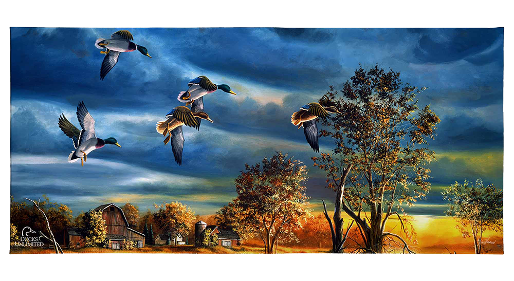 Morning Mallards Gallery Wrapped Canvas - Official Ducks Unlimited Art