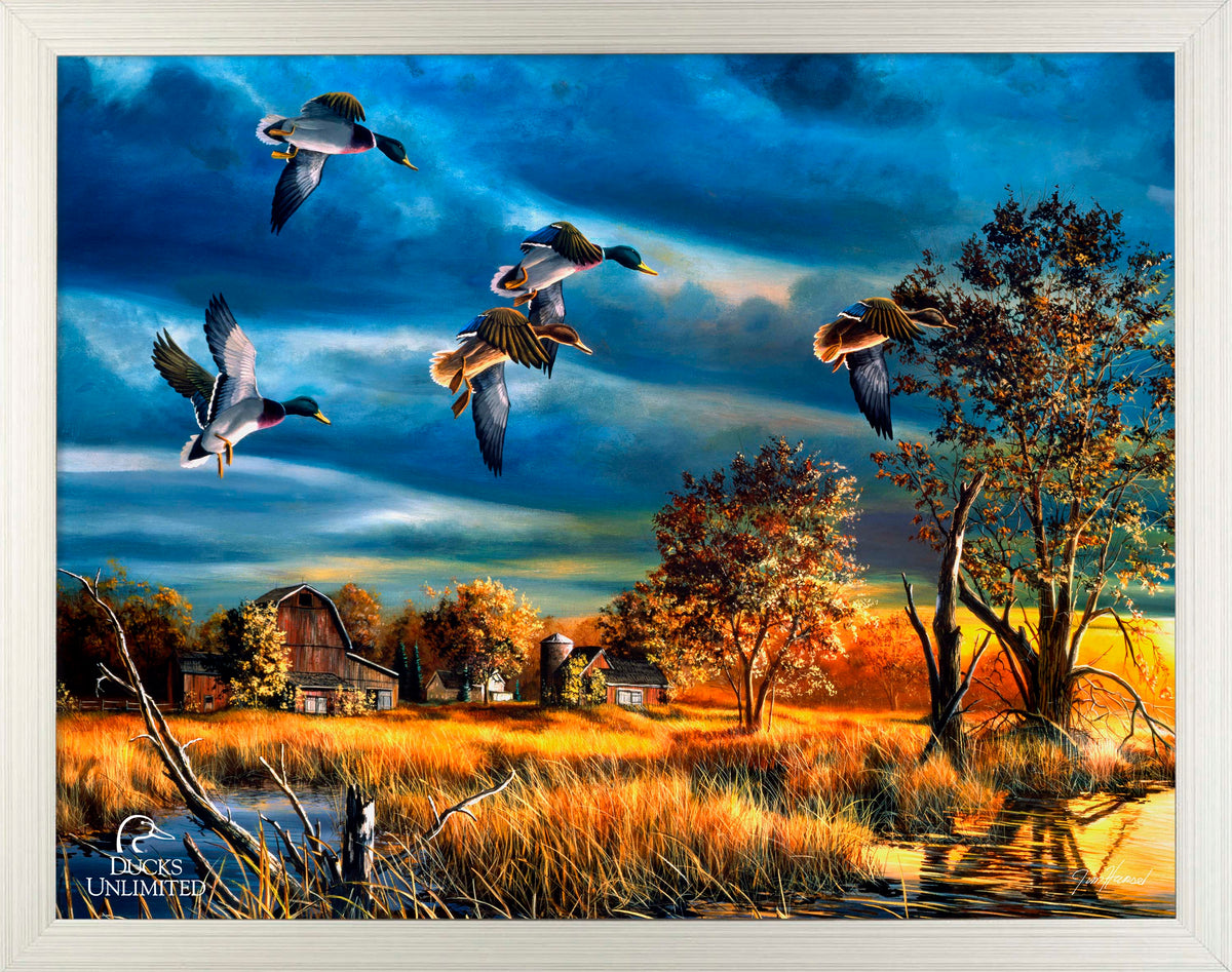 Morning Mallards Art Prints - Official Ducks Unlimited Art
