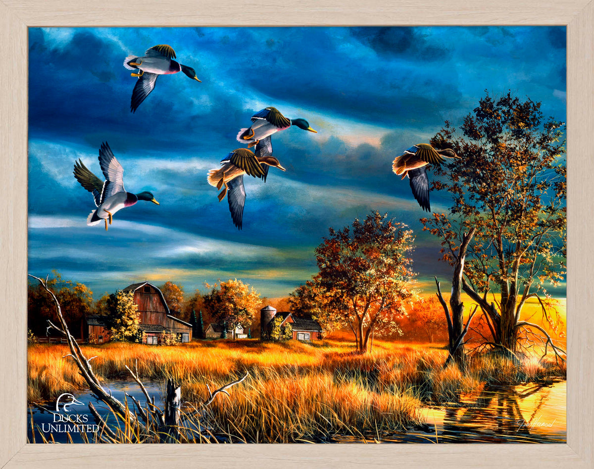 Morning Mallards Art Prints - Official Ducks Unlimited Art