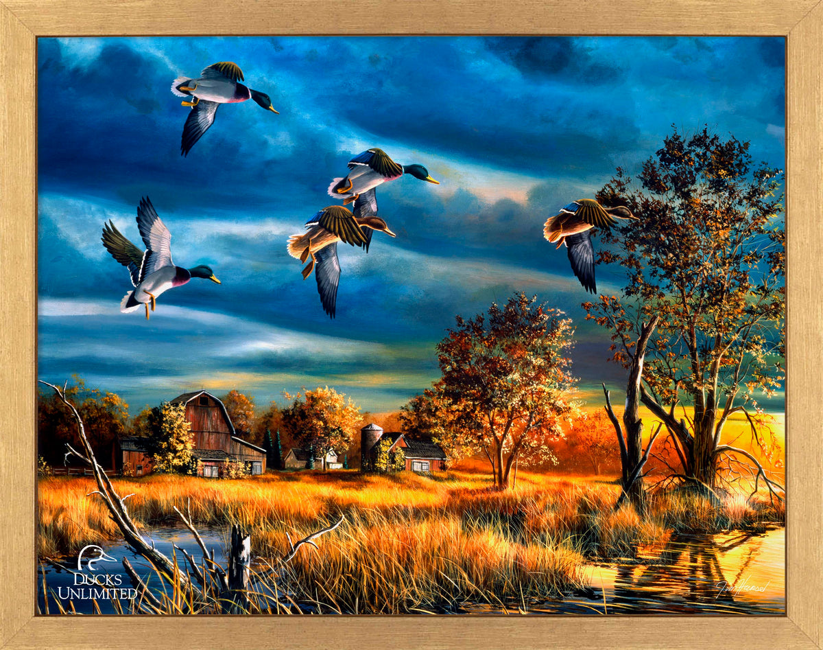 Morning Mallards Art Prints - Official Ducks Unlimited Art