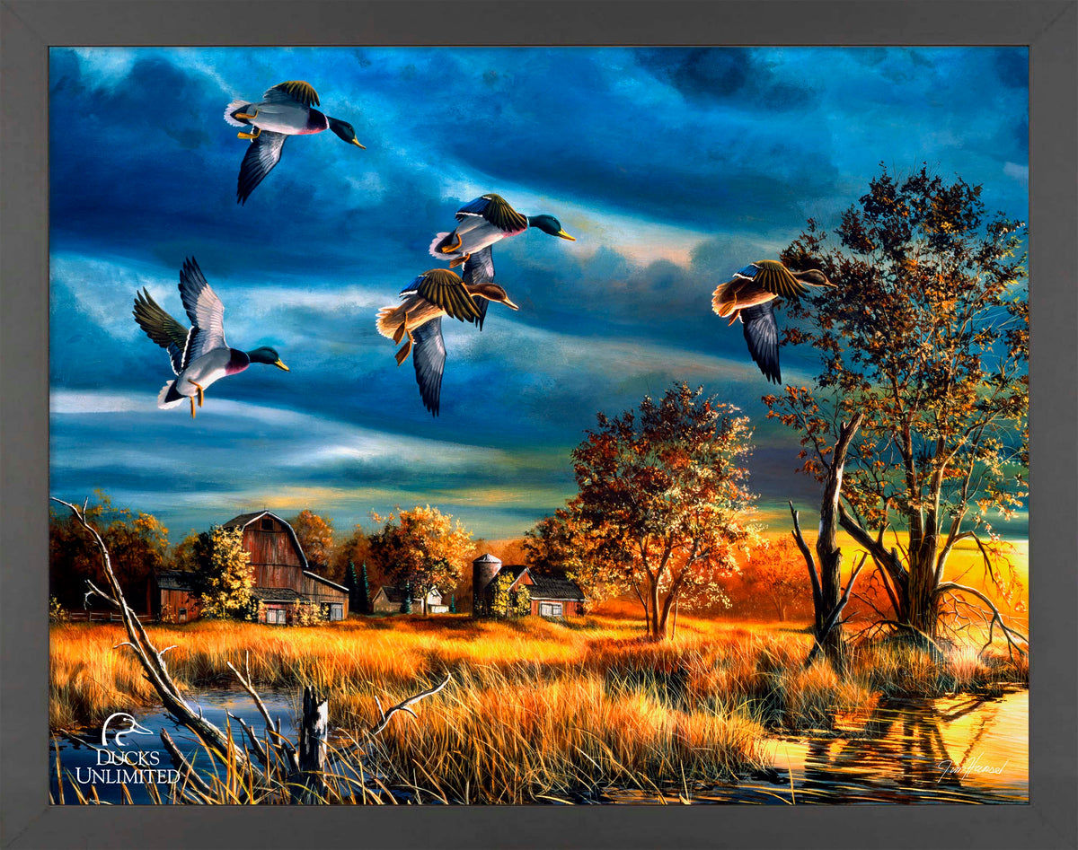 Morning Mallards Art Prints - Official Ducks Unlimited Art