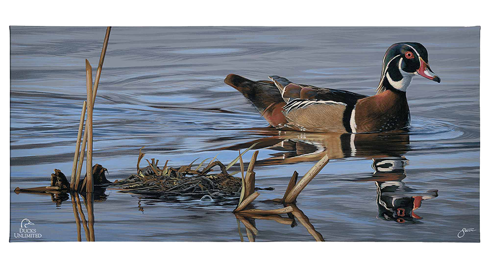 Morning Stroll Gallery Wrapped Canvas - Official Ducks Unlimited Art