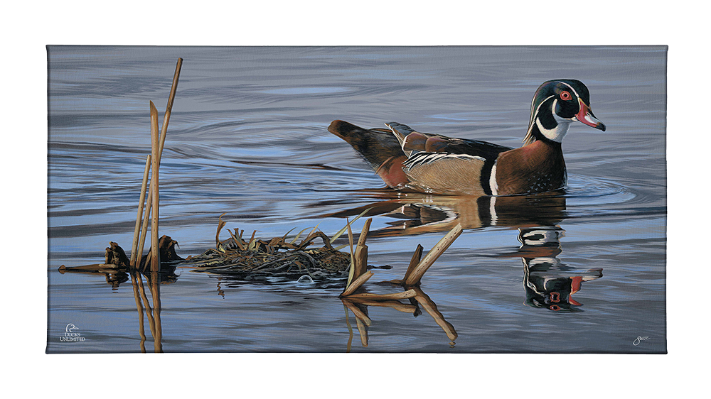 Morning Stroll Gallery Wrapped Canvas - Official Ducks Unlimited Art