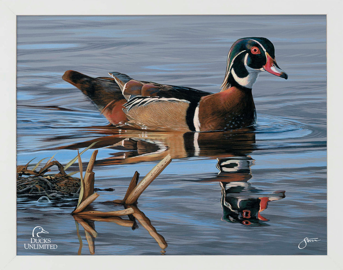 Morning Stroll Art Prints - Official Ducks Unlimited Art