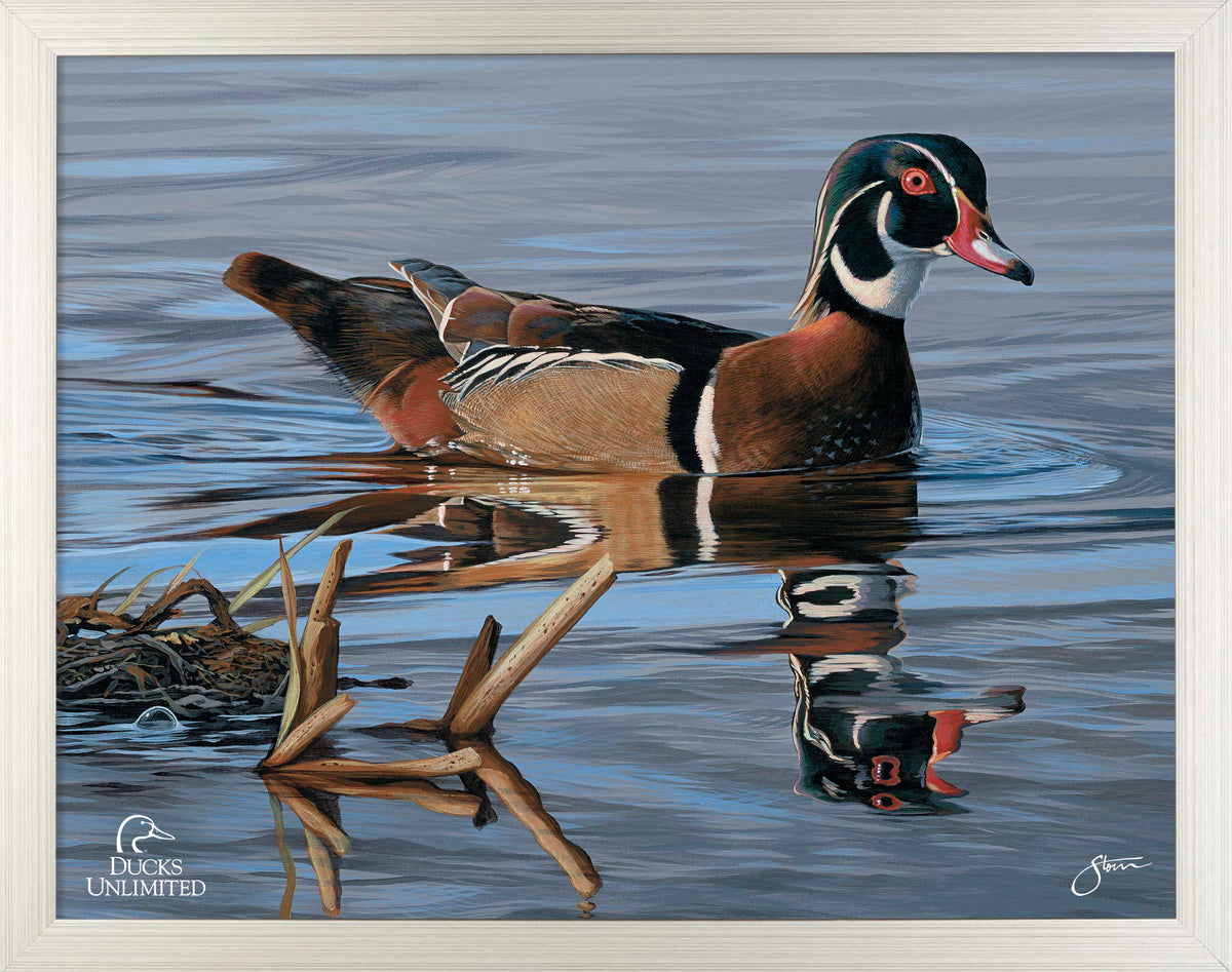 Morning Stroll Art Prints - Official Ducks Unlimited Art